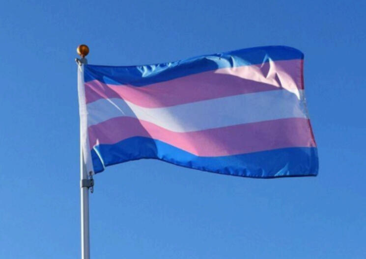 The most used transgender flag, representing all TGNC individuals